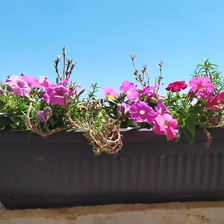 Nina Apartment Makarska