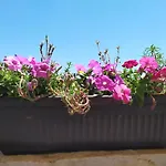 Nina شقة ماكارسكا
